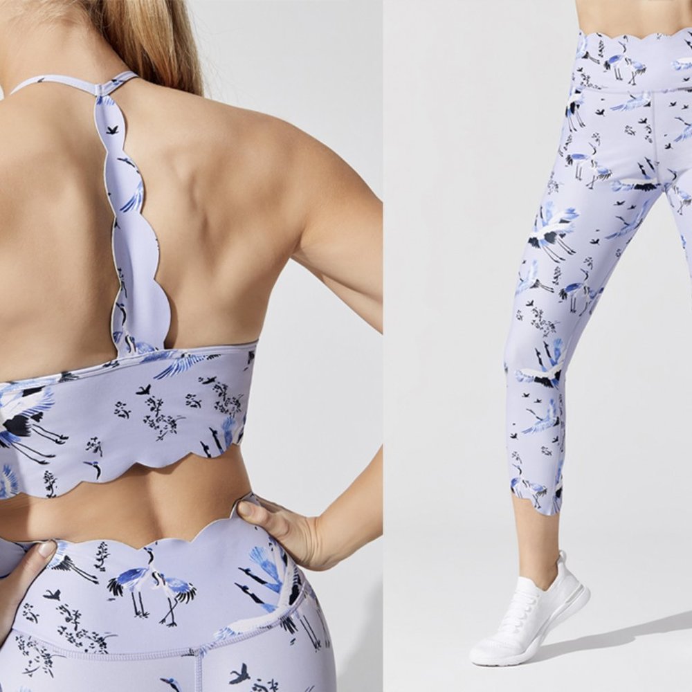 Carbon 38 Bird Collection Scalloped Set